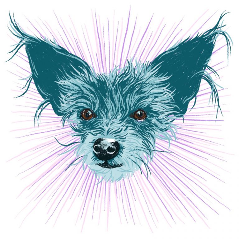 gemmi | digital