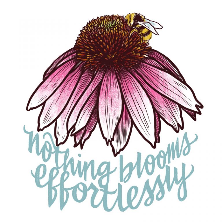 nothing blooms effortlessly | pen & ink, digital | 5x7"